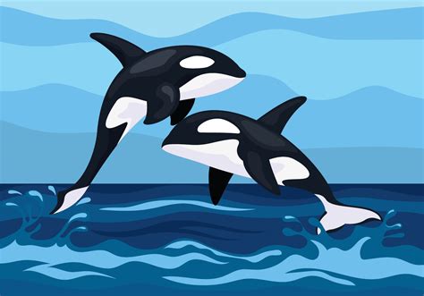 Killer Whales Illustration 227425 Vector Art At Vecteezy