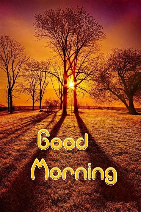Pin By Lalit On Morning Wishes In 2020 With Images Good Morning