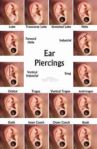 Different Kinds Of Ear Piercings Tattoos 39 Piercings Old Pinterest