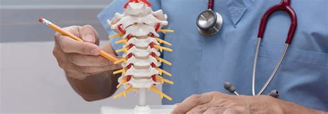 Are Chiropractors Real Doctors Lifestyle Chiropractic