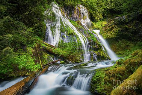 Panther Creek Falls Washington Usa Photograph By Henk Meijer