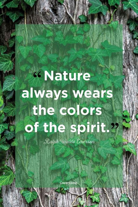 25 Best Nature Quotes Inspirational Sayings About Nature