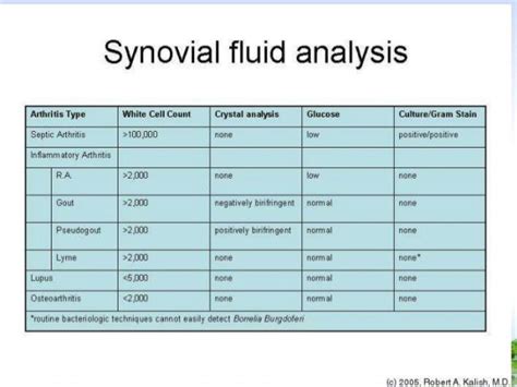 Synovial Cell Count Bing