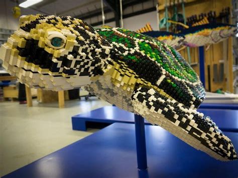 Lego Sculptures Take Zoo Visitors To Depths Of The Ocean Express And Star