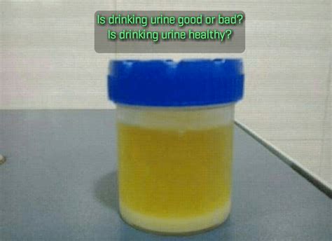 drinking urine is good or bad what happens if you drink pee nigerian health blog