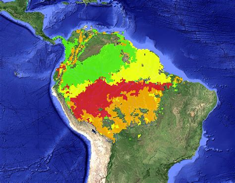 From Sink To Source Droughts Are Changing The Amazon Rainforest