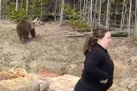 Woman Attacked By Grizzly Bear After Violating Warning Goes Missing