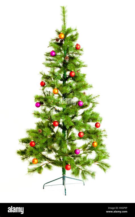 Christmas Tree Isolated On White Stock Photo Alamy
