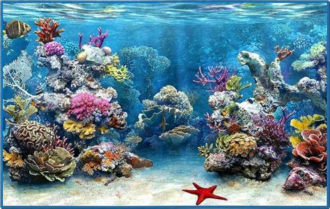 3d Aquarium Screensaver Hd Download Screensaversbiz