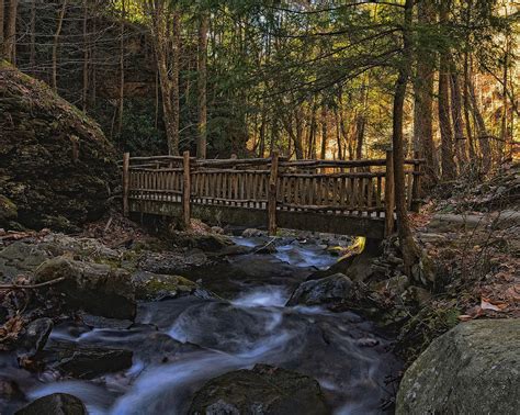 Old Wooden Bridge Over Pond Run Creek Photograph By Dave Sandt