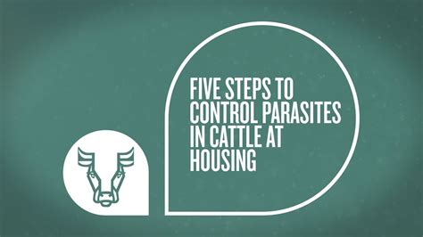 Five Steps To Control Parasites In Cattle At Housing Wormingwednesday