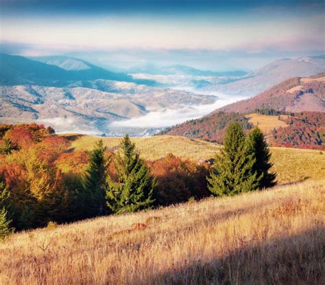 Colorful Morning Scene Of Carpathians Krasna Ridge Ukraine Europe