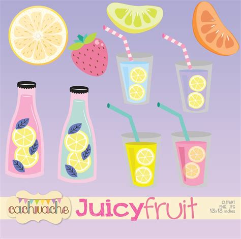 Fruit Clipart Tutti Frutti Clipart Pink Lemonade Clipart Etsy