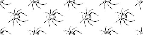 Vector Seamless Pattern Of Outline Spiders In Doodle Style Simple