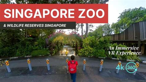 Lets Walk The Mandai Zoo And Wildlife Reserves Singapore In 360° An