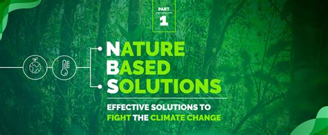 Nature Based Solutions These Initiatives Are Effective Solutions To