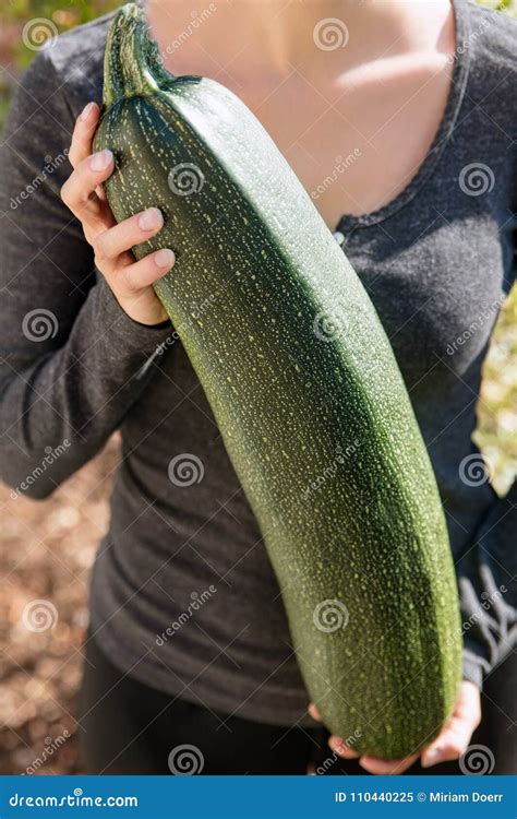 Woman Is Holding A Big Giant Zucchini Or Courgette In The Garden Stock