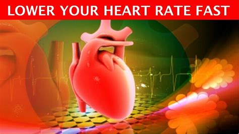 How To Immediately Lower Heart Rate Youtube