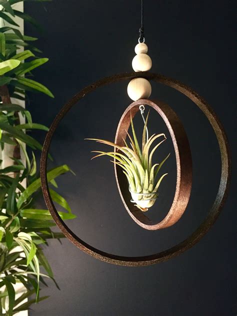 Celtic Orb Hanging Tillandsia Holder Art Deco Wall Planter Indoor