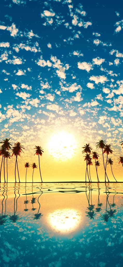 1242x2688 Palm Trees Reflection Sunset Iphone Xs Max Hd 4k