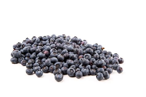 Fresh Blueberries Free Stock Photo Public Domain Pictures