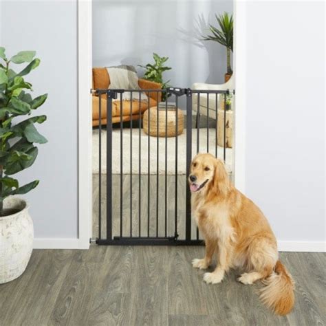Cheap Dog Fence The Best Affordable Fencing For Dogs