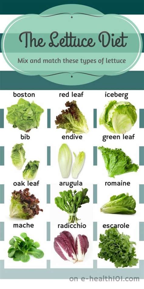 Various Pictures Of Lettuce Salad