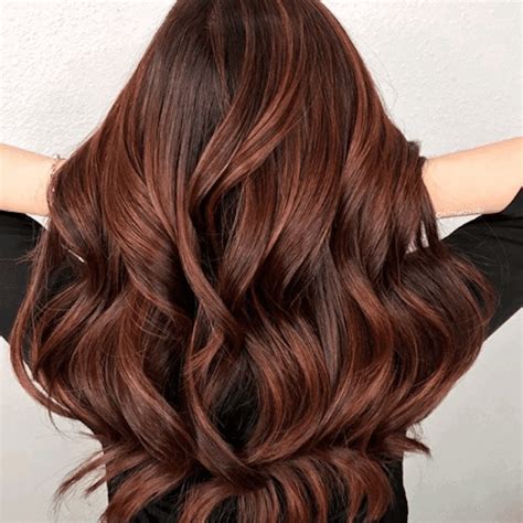 17 Photos Of Dark Brown Hair With Highlights