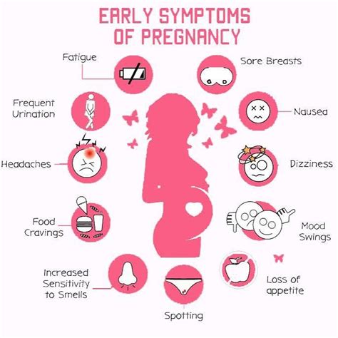 Stages Of Pregnancy Symptoms