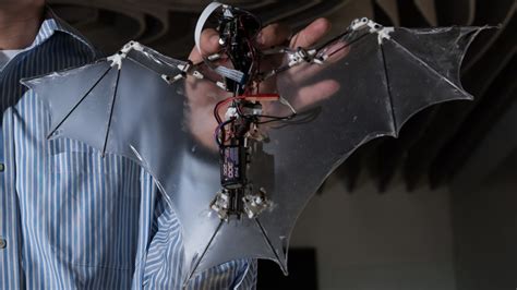 Bat Bot Flying Robot Mimics Ridiculously Stupid Complexity Of Bat