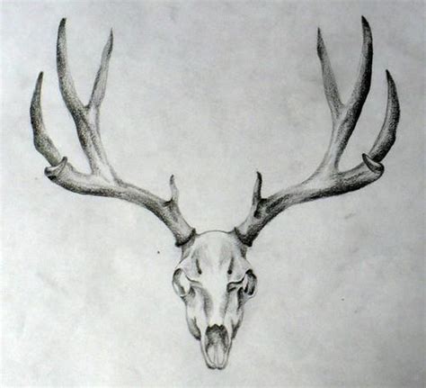 10 Deer Skull Tattoo Designs On Chest Petpress Antler Tattoos