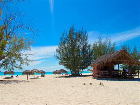 Playa Paraiso Strand In Cayo Largo Kuba Stockfoto Bild Von Baum