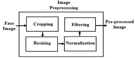 Block Diagram Of Image Pre Processing Image Cropping Is An Important