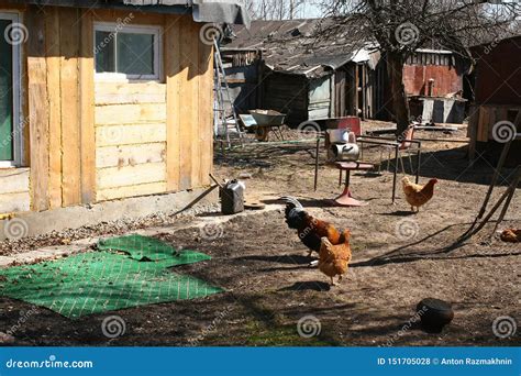 Backyard Decayed Russian Village Royalty Free Stock Image