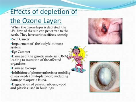Air Pollution And The Ozone 2 3