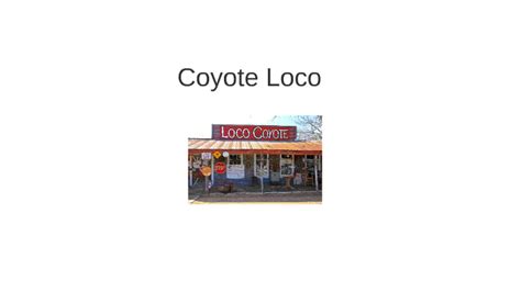 Case Study Coyote Loco By Nese Huz