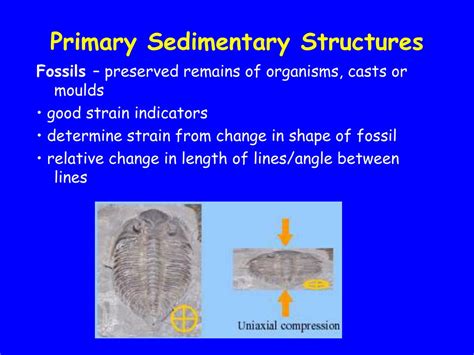 Ppt Rock Structure And Fault Activity Powerpoint Presentation Free