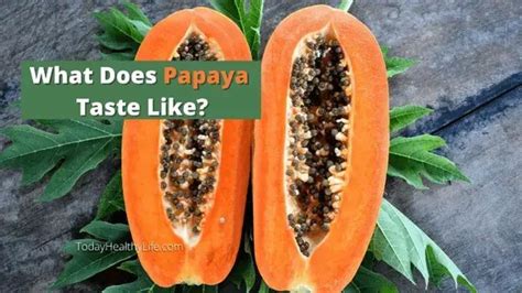 Why Does Papaya Taste Like Vomit Quora