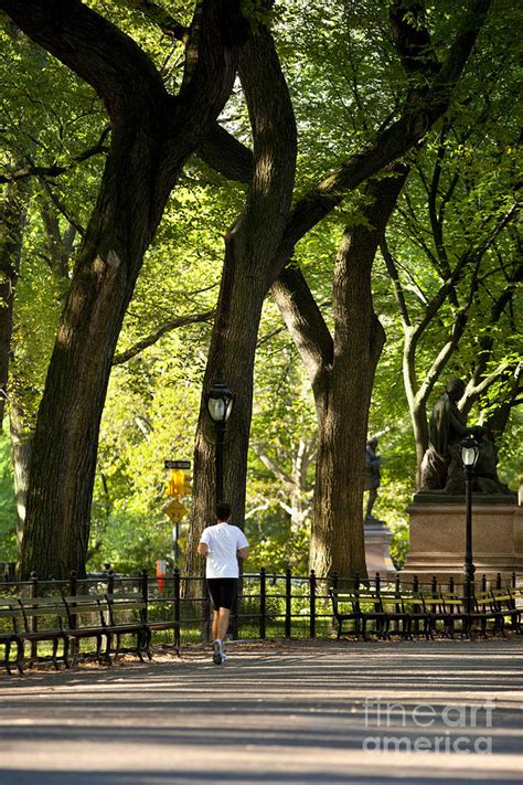 Central Park Jogging Photograph By Brian Jannsen
