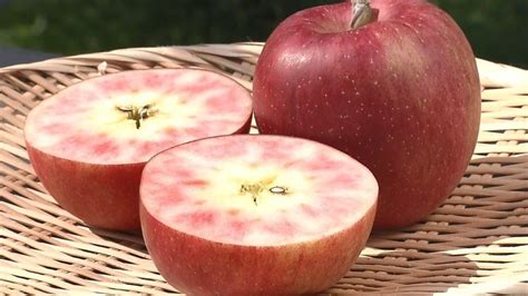 You're left with four pieces of apple, and one square apple core. Crimson to the Core: Nagano's All-New Apple Strains Make a ...