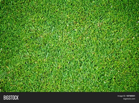 Overhead View Grass Field Image And Photo Bigstock