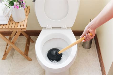 5 Reasons Why Toilets Get Clogged