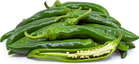 green finger hot chile pepper information and facts