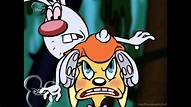 Brandy & Mr.Whiskers | Opening [HQ/HD] (Castellano) - YouTube