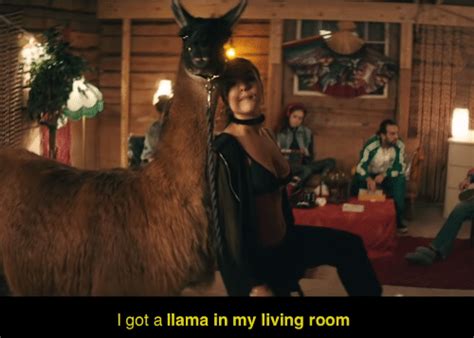 Look through examples of aja translation in sentences, listen to pronunciation and learn grammar. What Does Hay Mean in Spanish? And Why Is There a Llama in ...