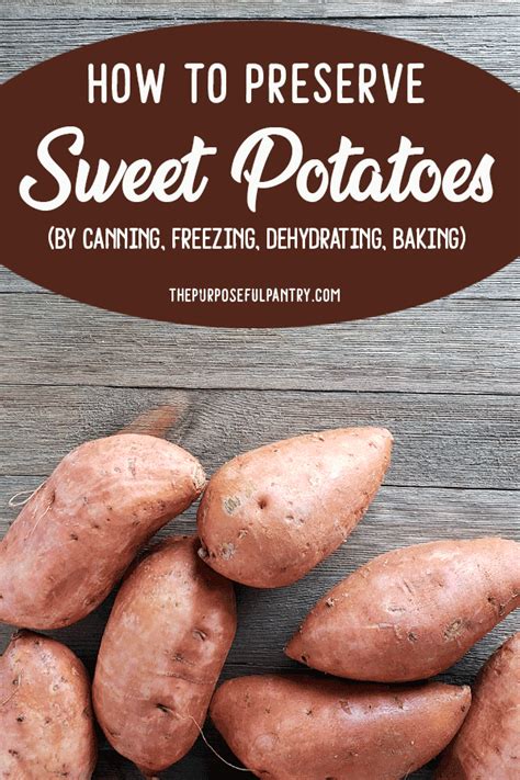 Sweet Potatoes With Text Overlay How To Preserve Sweet Potatoes By