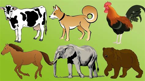 Learn Animals Names And Sounds For Children Animals For Kids Youtube
