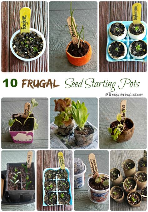 Frugal Seed Starting Pots And Containers 10 Creative Ideas