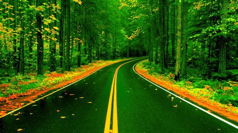 Forest Road In Autumn Image Abyss