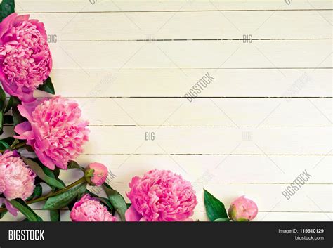 Pink Peony Flowers On Image And Photo Free Trial Bigstock